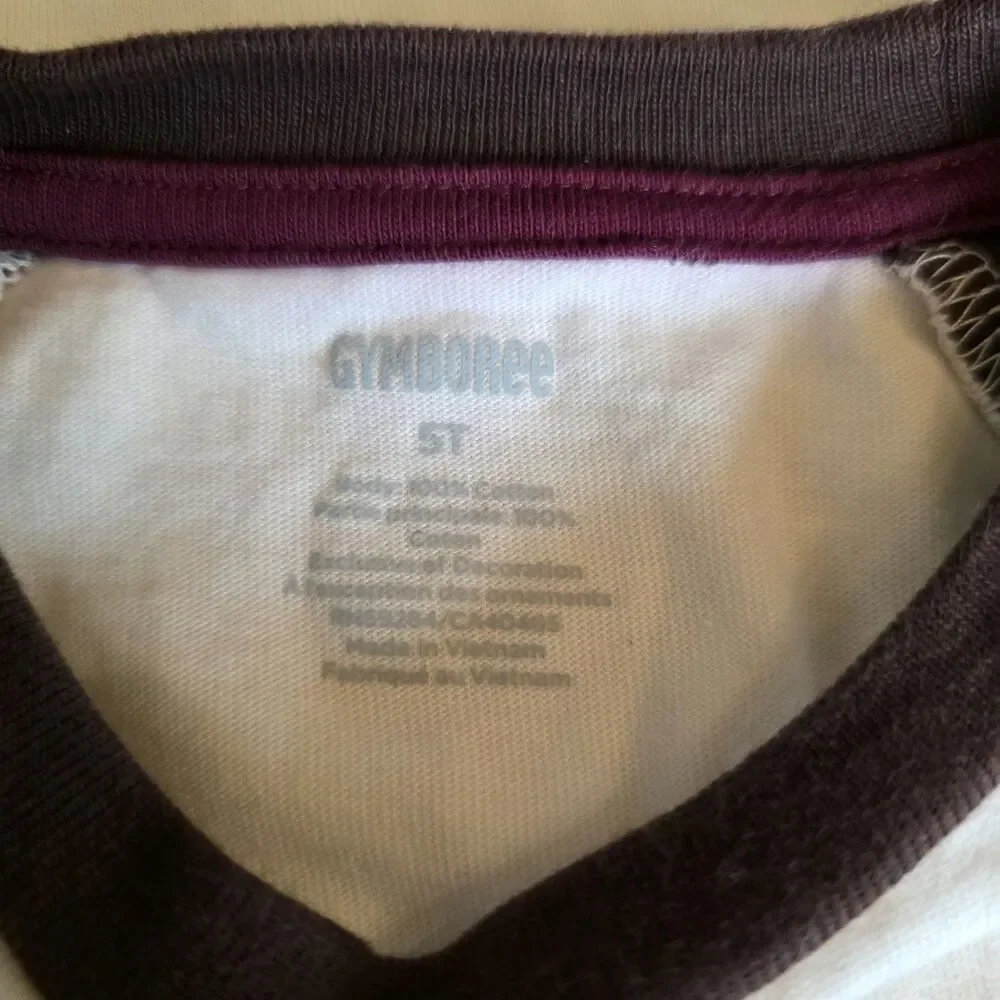 Gymboree 5T Boys Embroidered Raccoon Raglan Top - Enchanted Forest
